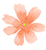 让我们在比, img