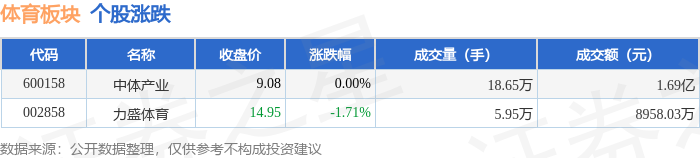 msn, 公司的主要